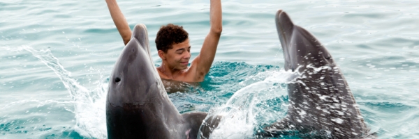 Bermuda Attraction, Dolphin Quest