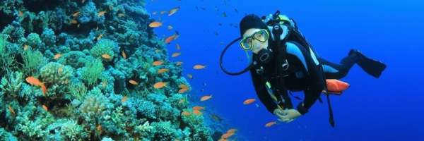 Bermuda Activities, Things to do in Bermuda