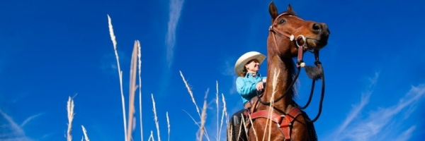 Activities in Bermuda, Trail Rides